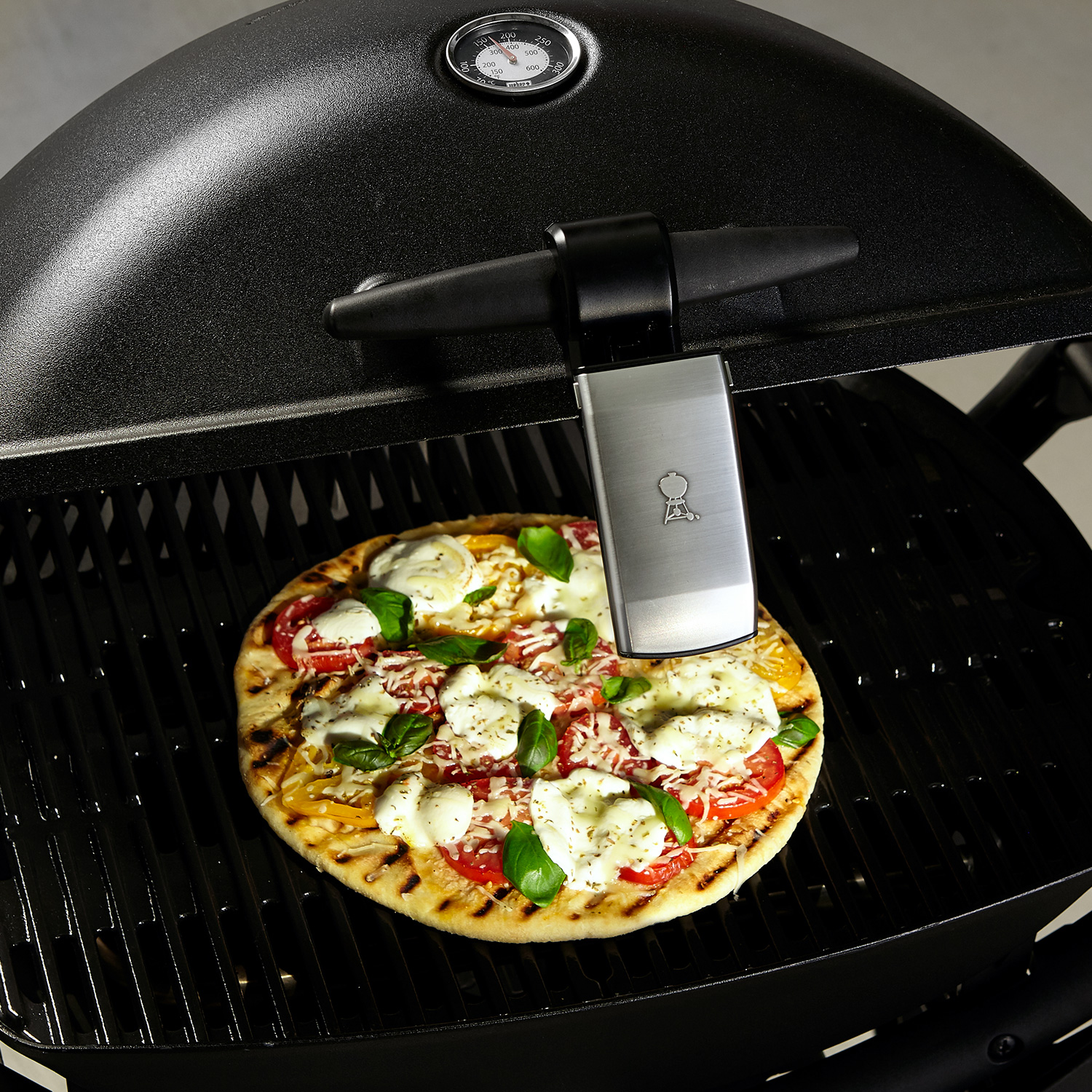 Weber Grifflicht für Q-Serie