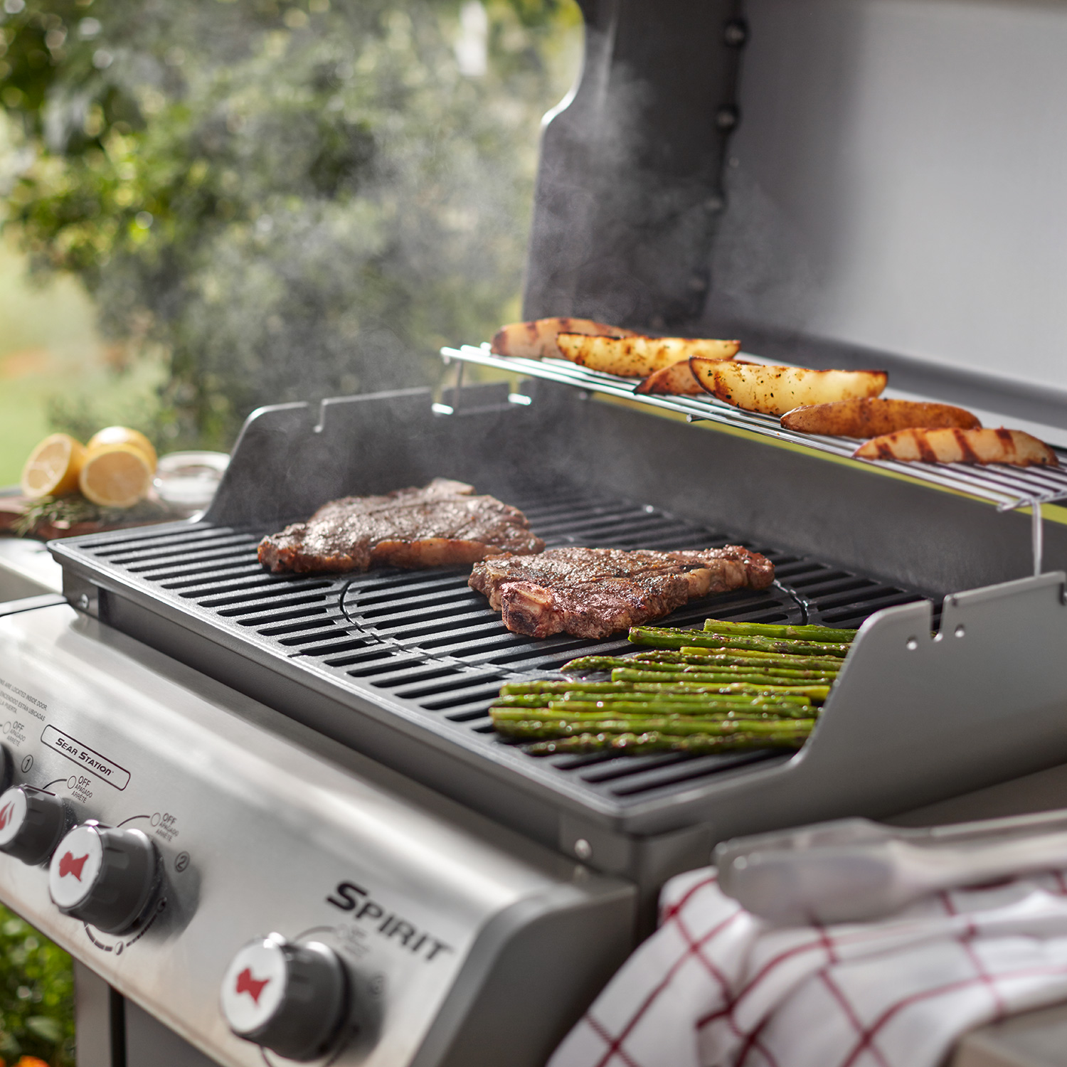 Weber GBS-Grillrosteinsatz für Gasgrills Spirit 300