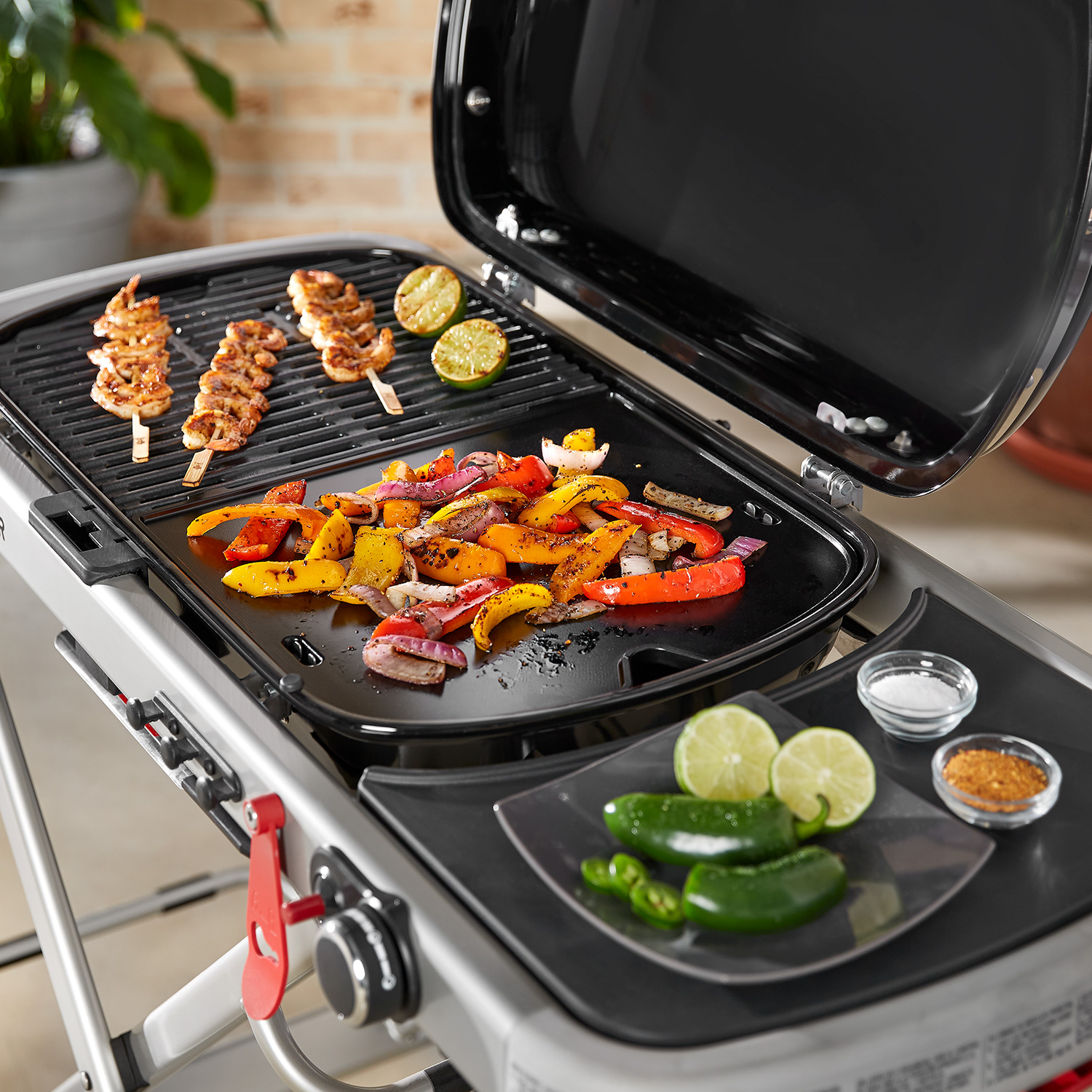 Weber Grillplatte für Traveler-Grills