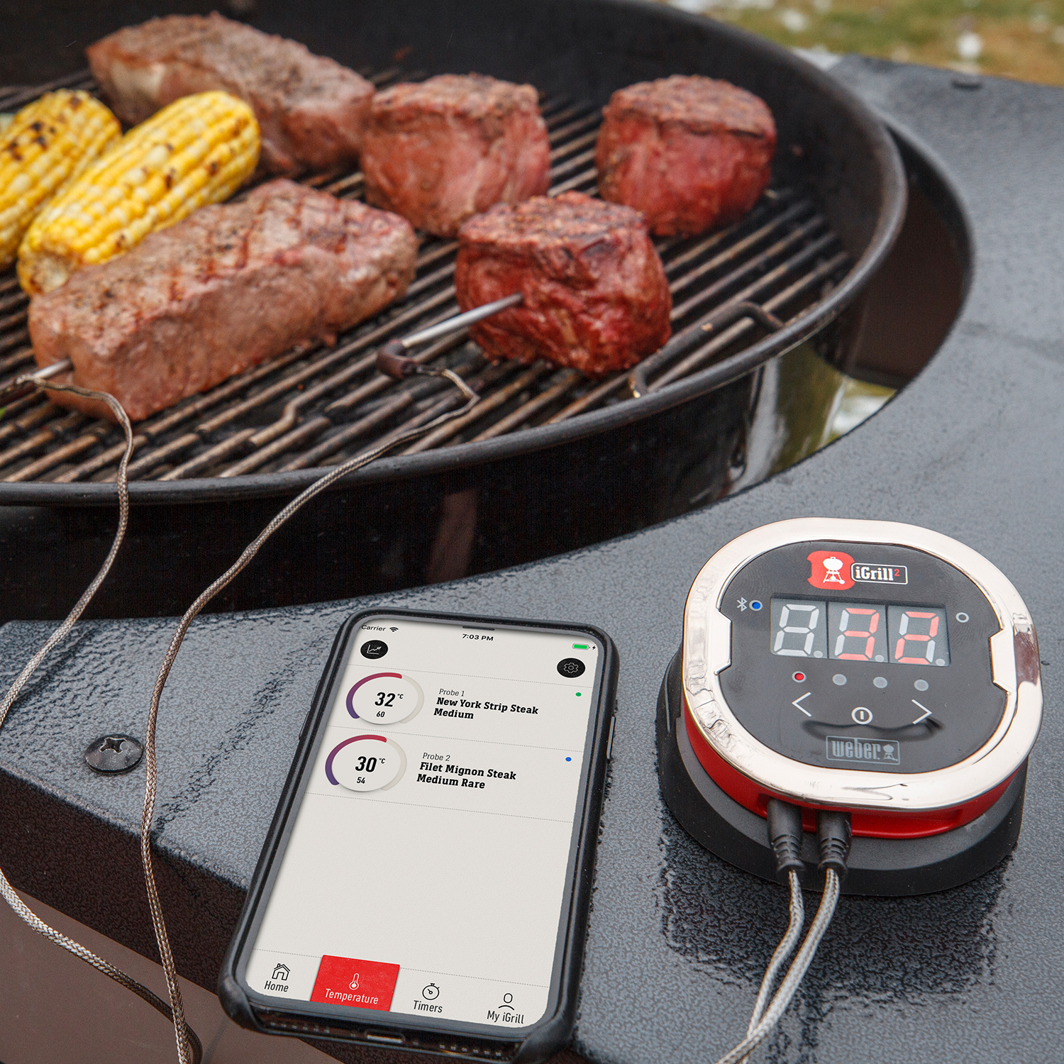 Weber iGrill 2 Temperaturfühler