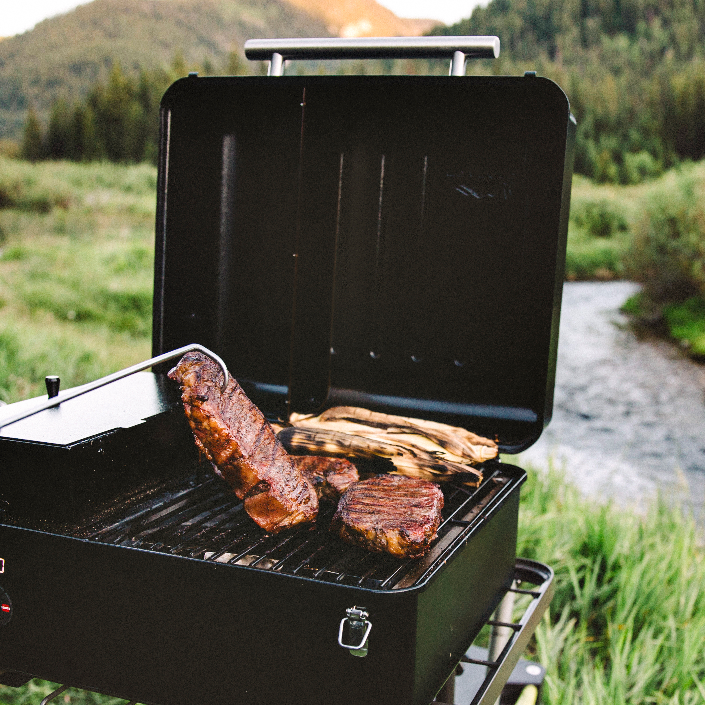 Traeger BBQ Wendhaken Pig Tail