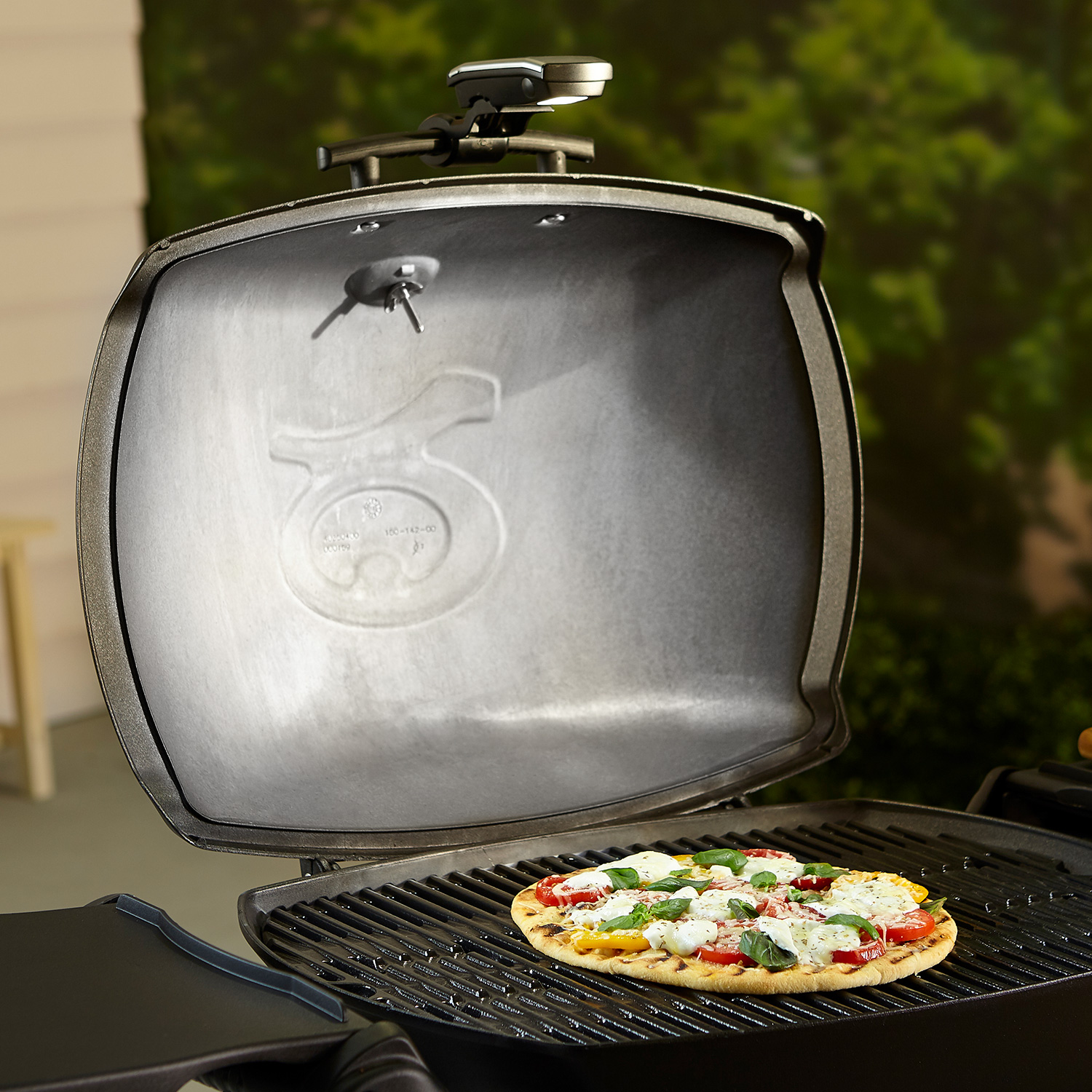 Weber Grifflicht für Q-Serie