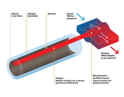 Schematische Darstellung eines Vakuumröhrenkollektors mit Heatpipe-Technologie und Pfeilen, die den Fluss von Wärme und Flüssigkeit zeigen