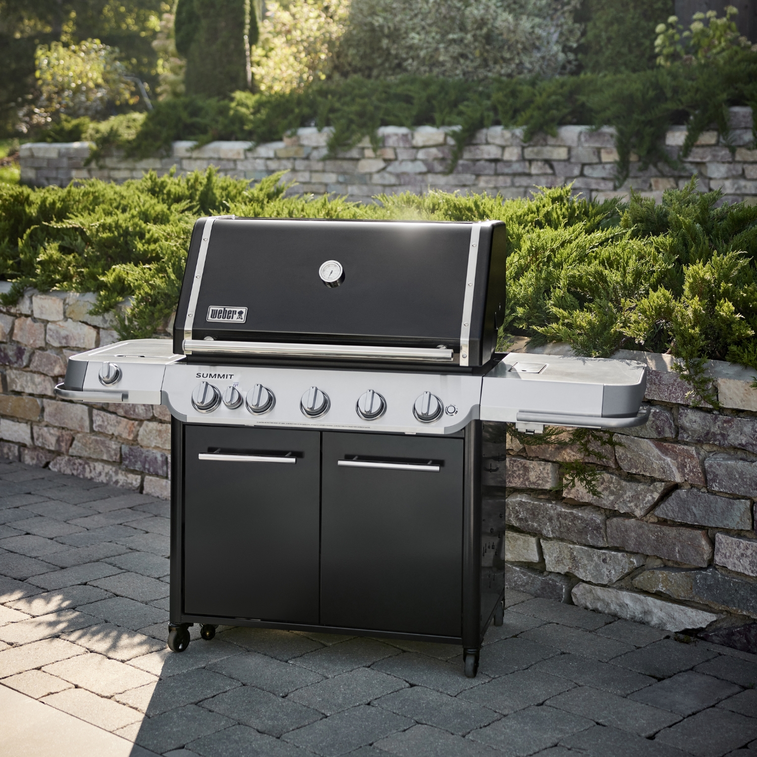 Weber Summit FS38 E Gas-Grillstation Schwarz