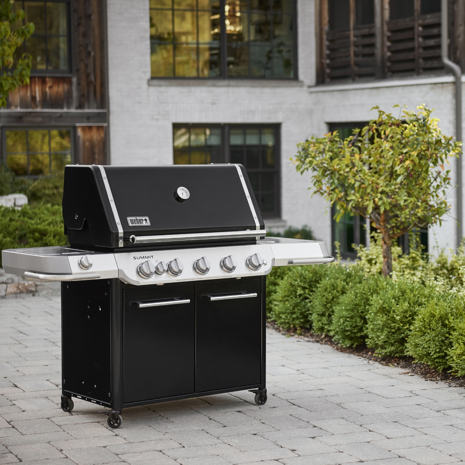 Weber Summit FS38 E Gas-Grillstation Schwarz