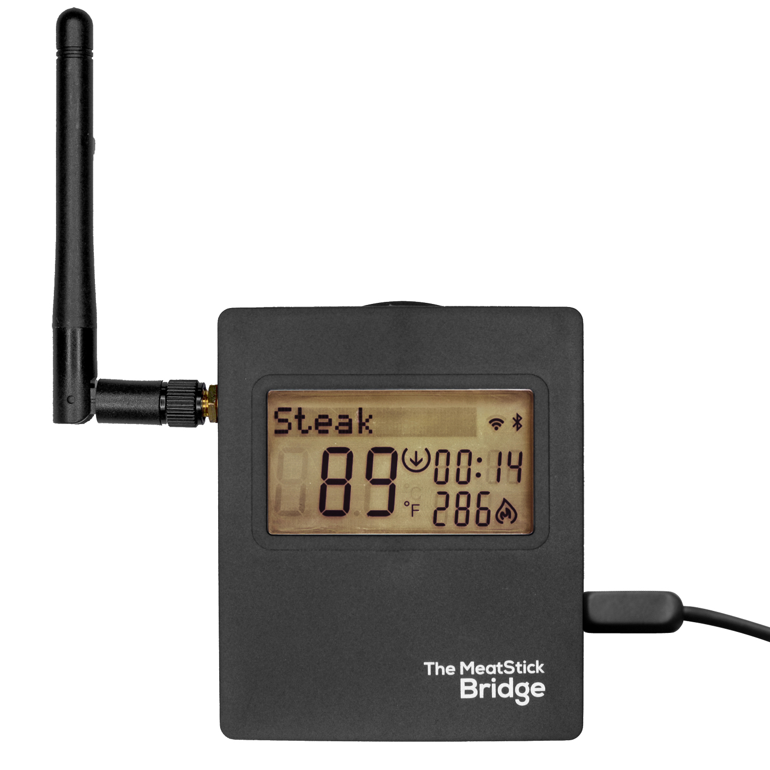 The MeatStick Set 3: The MeatStick inkl. Ladegerät, WiFi Bridge und Transporttasche